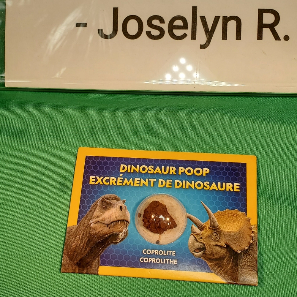 Dinosaur Poop Souvenir Card